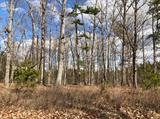 Image for 29-Lot# Dry Mountain Rd, Gladys, VA 24554