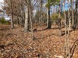 Image for 29-Lot# Dry Mountain Rd, Gladys, VA 24554