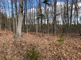 Image for 29-Lot# Dry Mountain Rd, Gladys, VA 24554