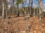 Image for 29-Lot# Dry Mountain Rd, Gladys, VA 24554