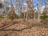 Image for 29-Lot# Dry Mountain Rd, Gladys, VA 24554