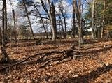 Image for 29-Lot# Dry Mountain Rd, Gladys, VA 24554