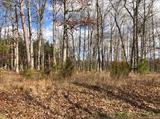 Image for 29-Lot# Dry Mountain Rd, Gladys, VA 24554