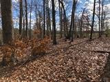 Image for 29-Lot# Dry Mountain Rd, Gladys, VA 24554
