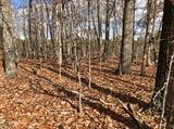 Image for 29-Lot# Dry Mountain Rd, Gladys, VA 24554
