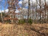Image for 29-Lot# Dry Mountain Rd, Gladys, VA 24554