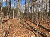 Image for 29-Lot# Dry Mountain Rd, Gladys, VA 24554