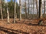 Image for 29-Lot# Dry Mountain Rd, Gladys, VA 24554