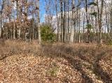 Image for 29-Lot# Dry Mountain Rd, Gladys, VA 24554