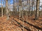 Image for 29-Lot# Dry Mountain Rd, Gladys, VA 24554