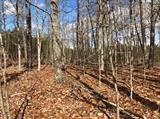 Image for 29-Lot# Dry Mountain Rd, Gladys, VA 24554