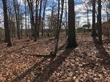Image for 29-Lot# Dry Mountain Rd, Gladys, VA 24554