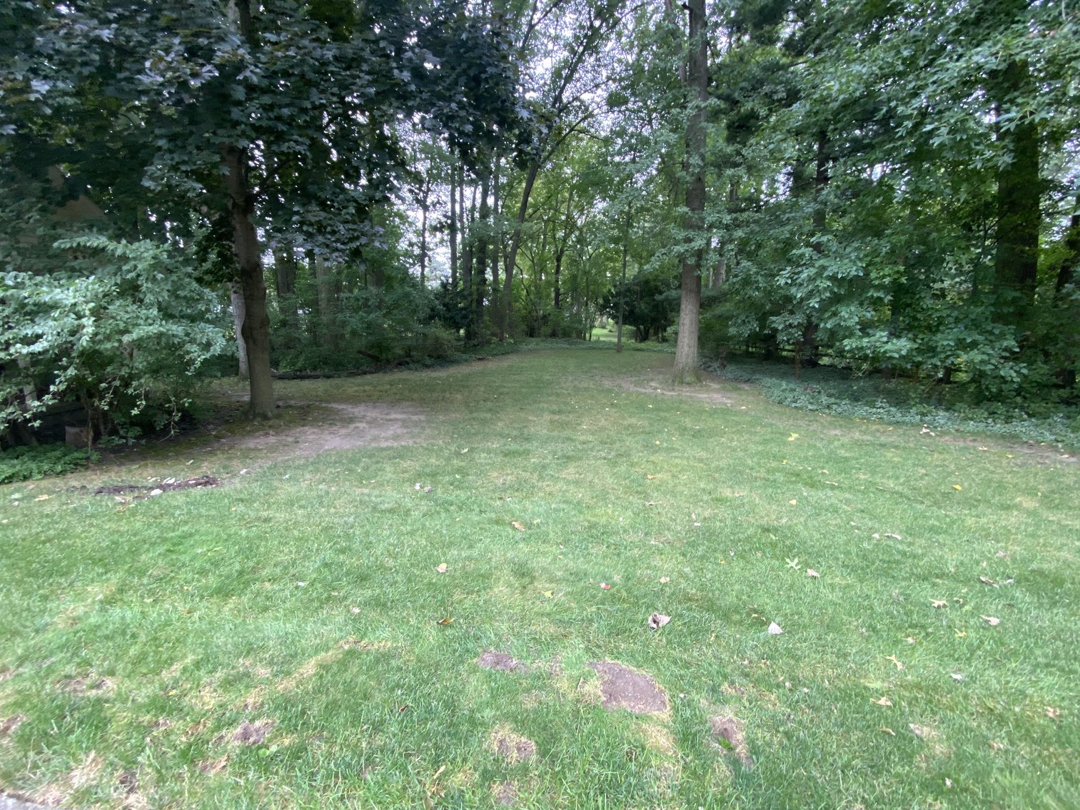 Image for MINIMUM BID AUCTION! $99,000 - 5311 Kellogg Road