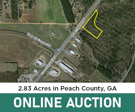 Image for ONLINE AUCTION - October 14th thru October 15th - Peach