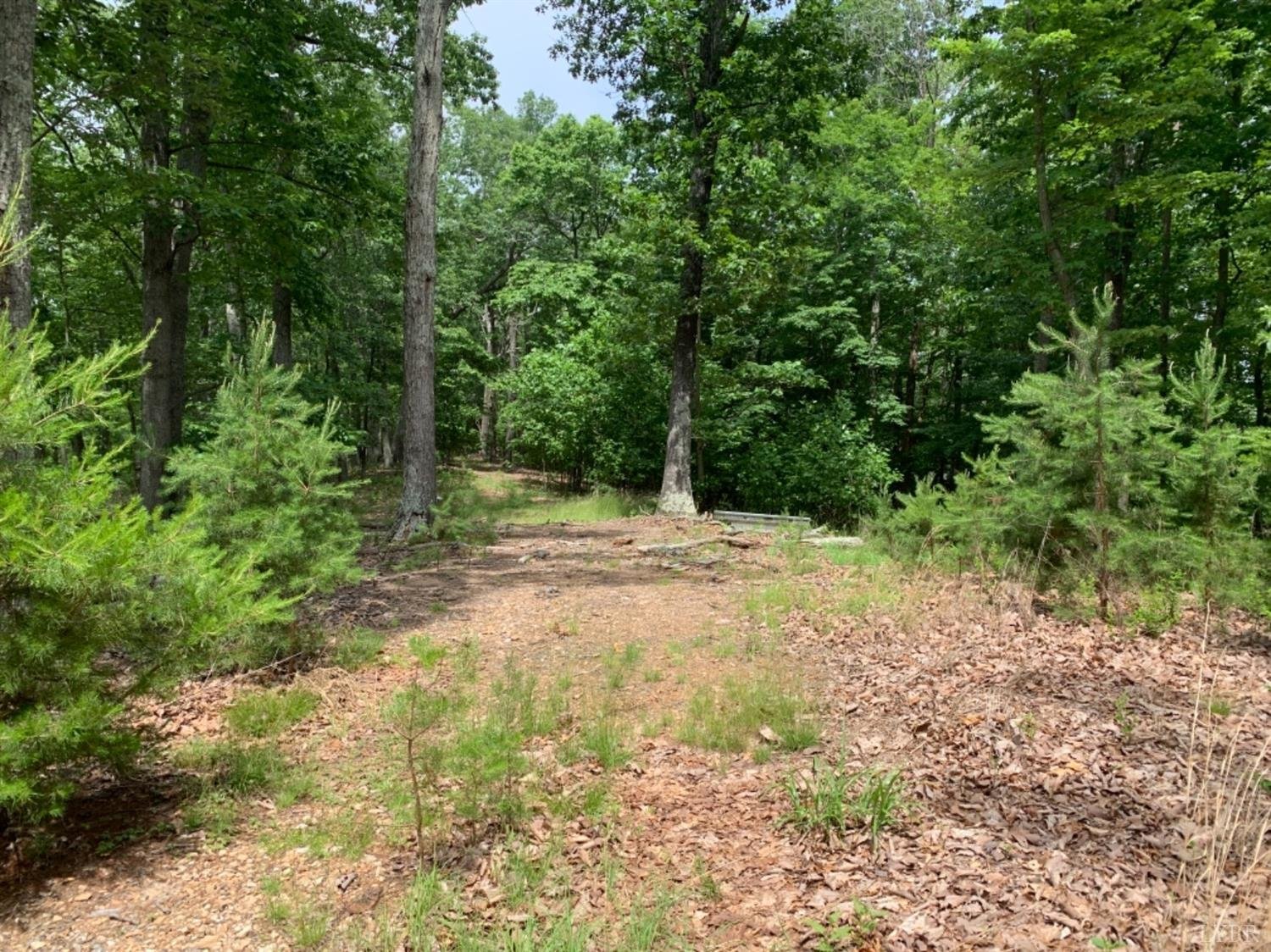 Image for Stevens Rd, Rustburg, VA 24588