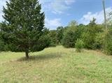 Image for Leesville Rd, Altavista, VA 24517