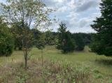 Image for Leesville Rd,  Altavista, VA  24517