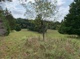 Image for Leesville Rd, Altavista, VA 24517