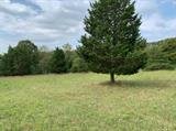 Image for Leesville Rd,  Altavista, VA  24517