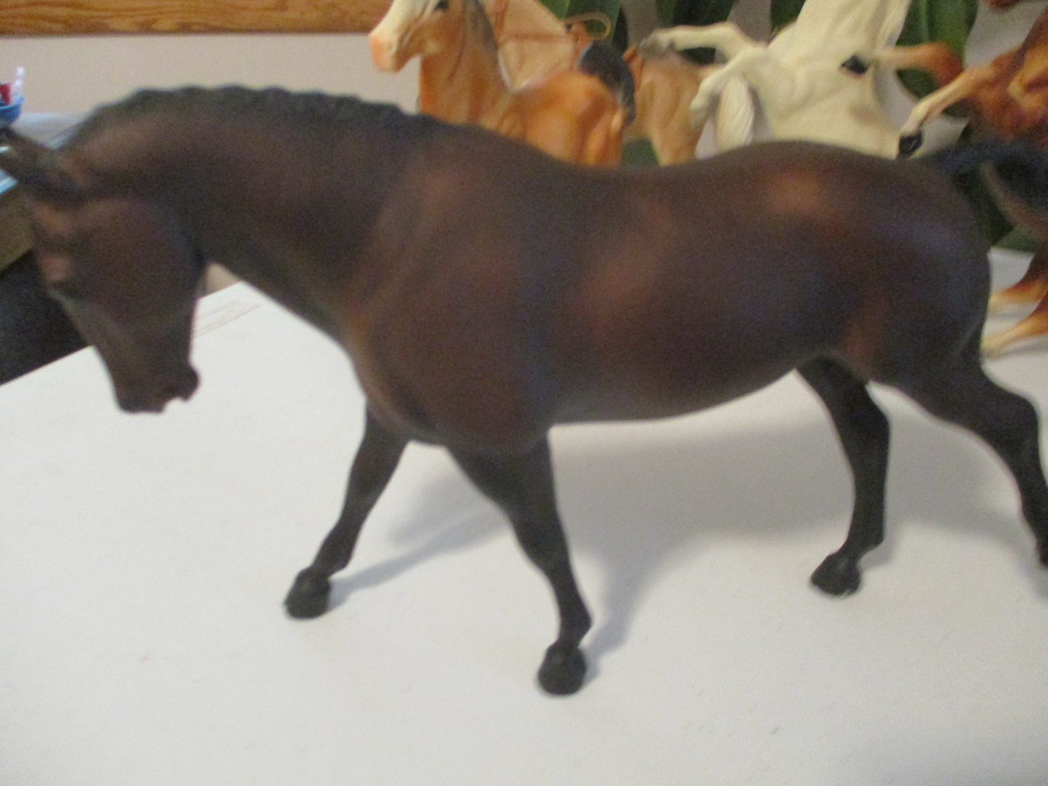 Image for Dorothy Dieck Personal Property