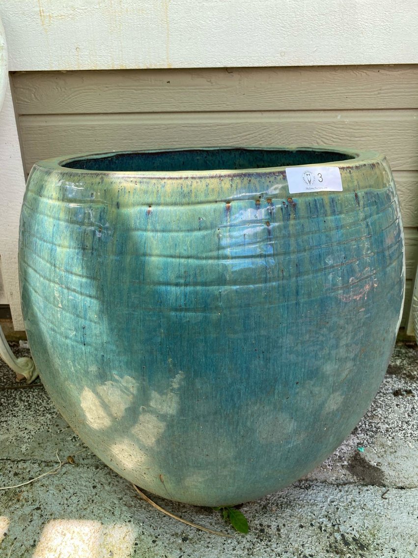 Image for Lihue Orchids, Pots and More Auction