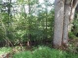 Image for 1123 Roses Mill Rd, Amherst, VA 24521
