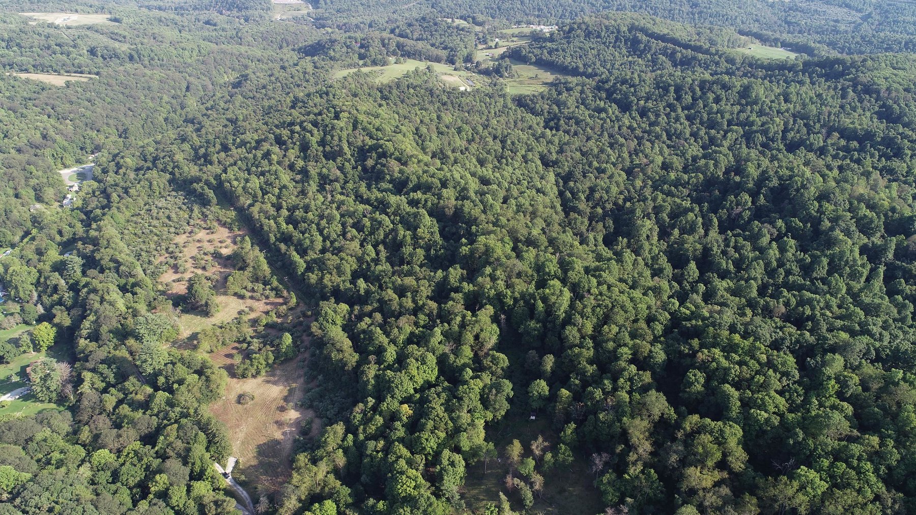 Image for SOLD $184,250 - 63 Acres Sold to the Highest Bidder