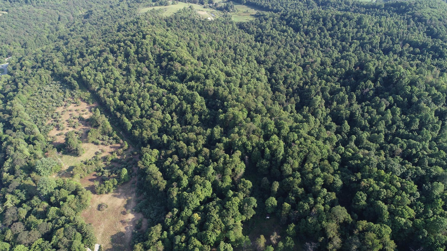 Image for SOLD $184,250 - 63 Acres Sold to the Highest Bidder