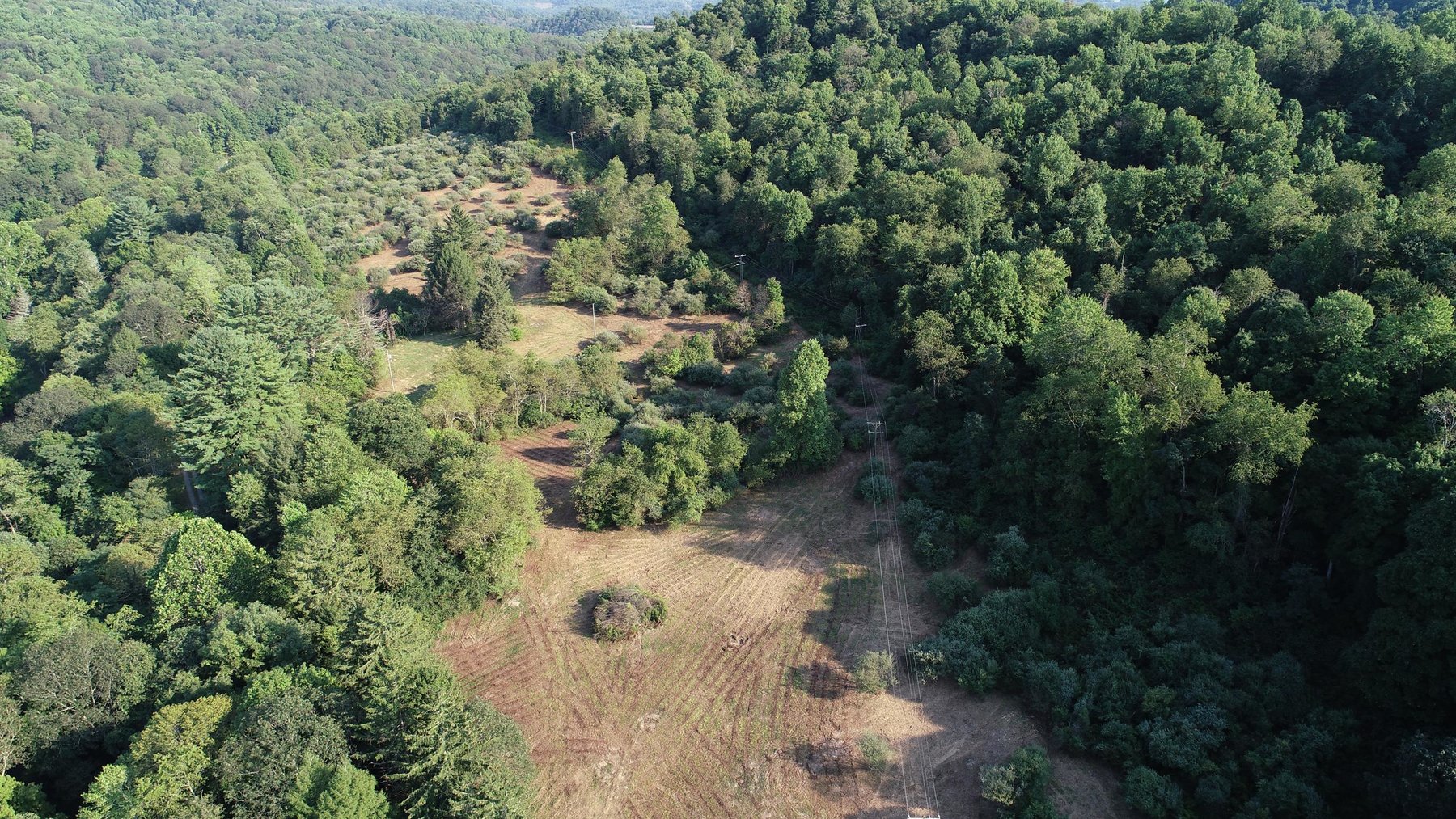 Image for SOLD $184,250 - 63 Acres Sold to the Highest Bidder