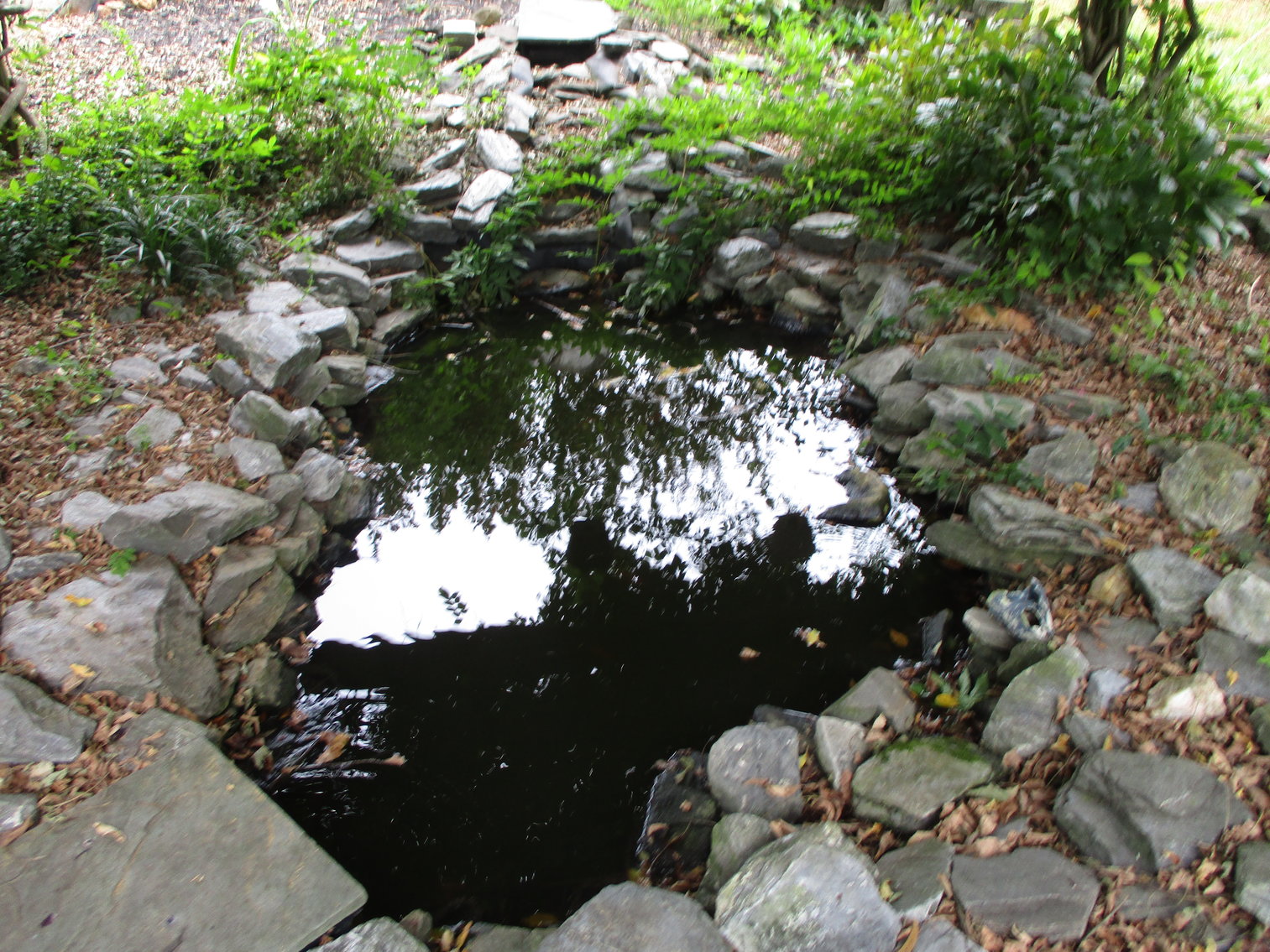 Image for 104 Mitchell Spring Road