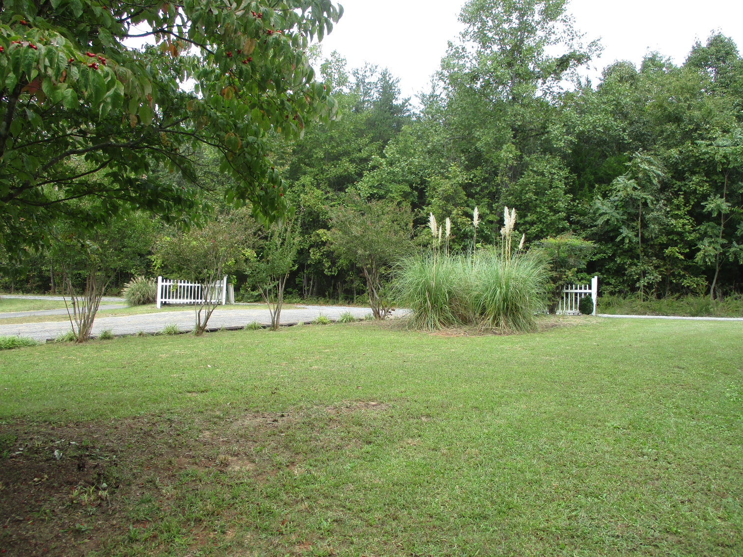 Image for 104 Mitchell Spring Road