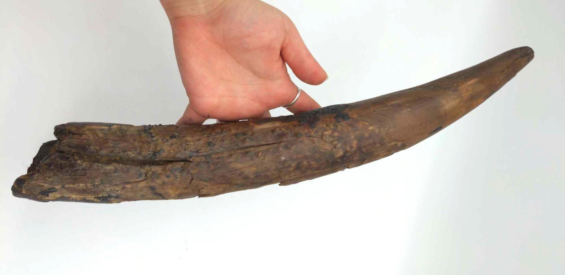 Image for October 2020 Discovery Online Auction