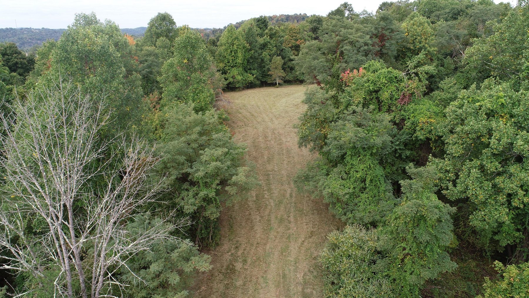 Image for SOLD $71,500 - 4.25 Acres off Bell Run Road