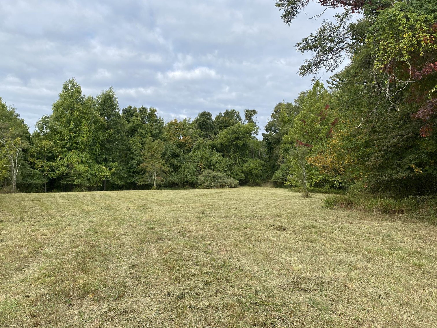 Image for SOLD $71,500 - 4.25 Acres off Bell Run Road