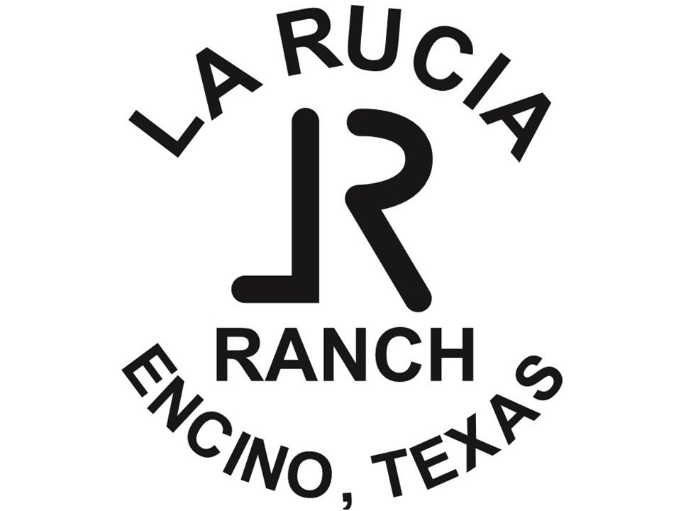 Image for STPRA - Silent Auction