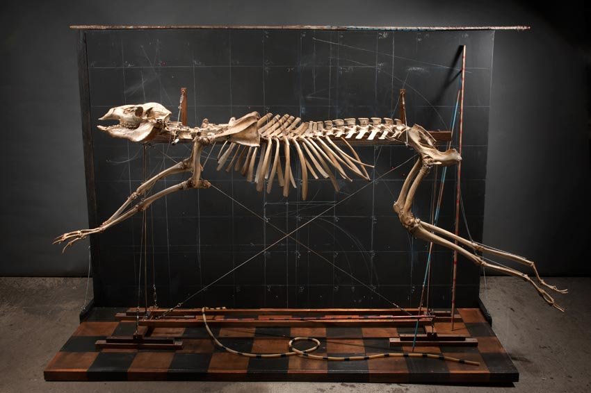 Image for Bid Fast and Last Ron Pippin Art Auction