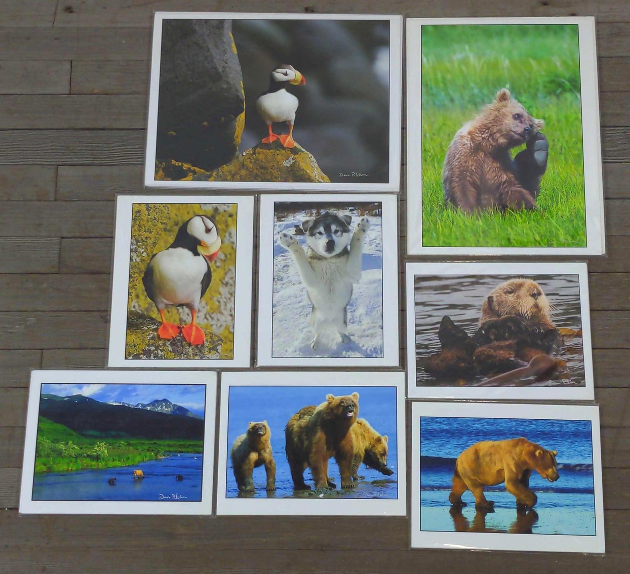 Image for MSSD Fundraiser Auction