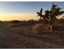 Image for Vacant Land Auction