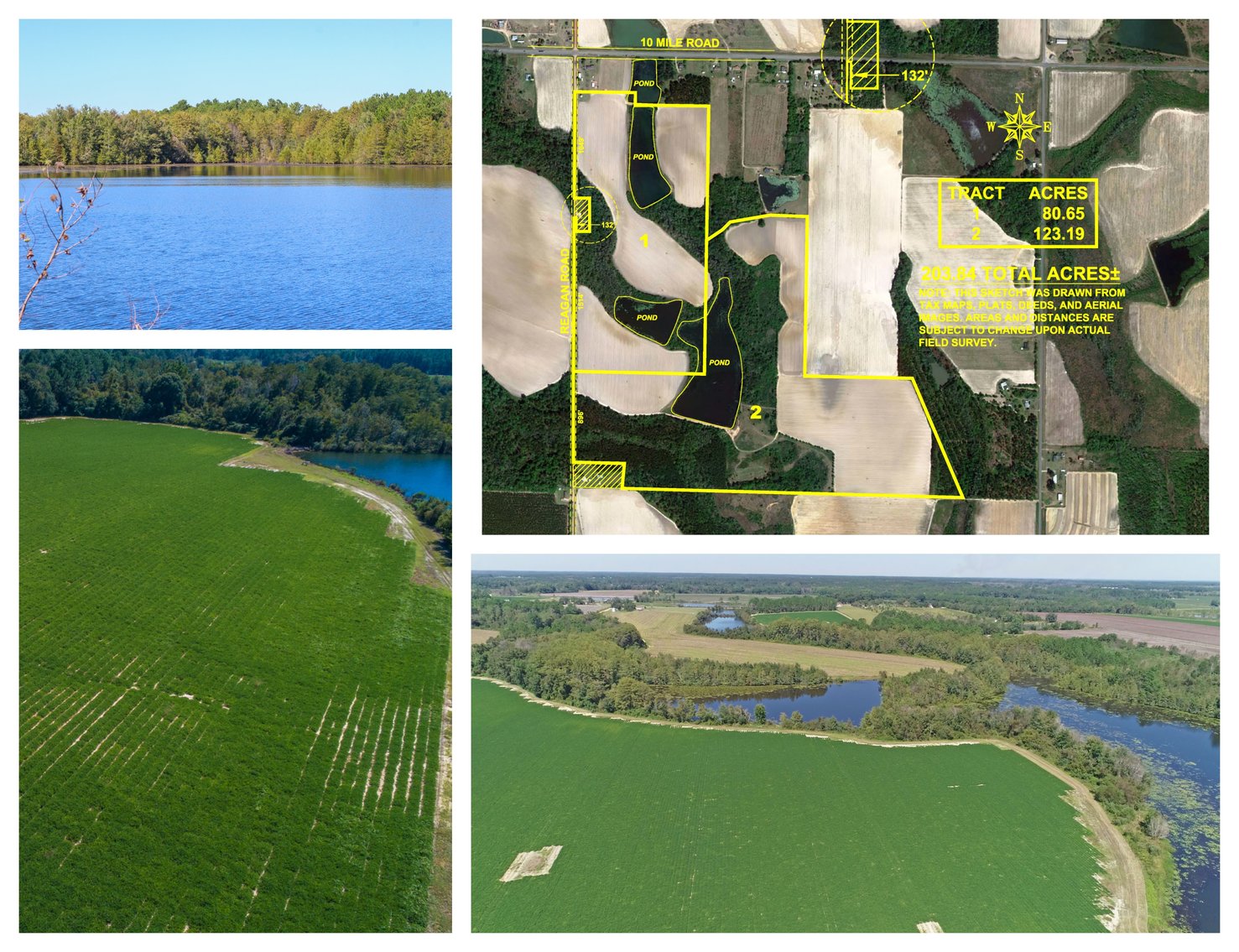 Image for Now Selling at Absolute Auction! 204 +/- Acres Irwin County, Georgia