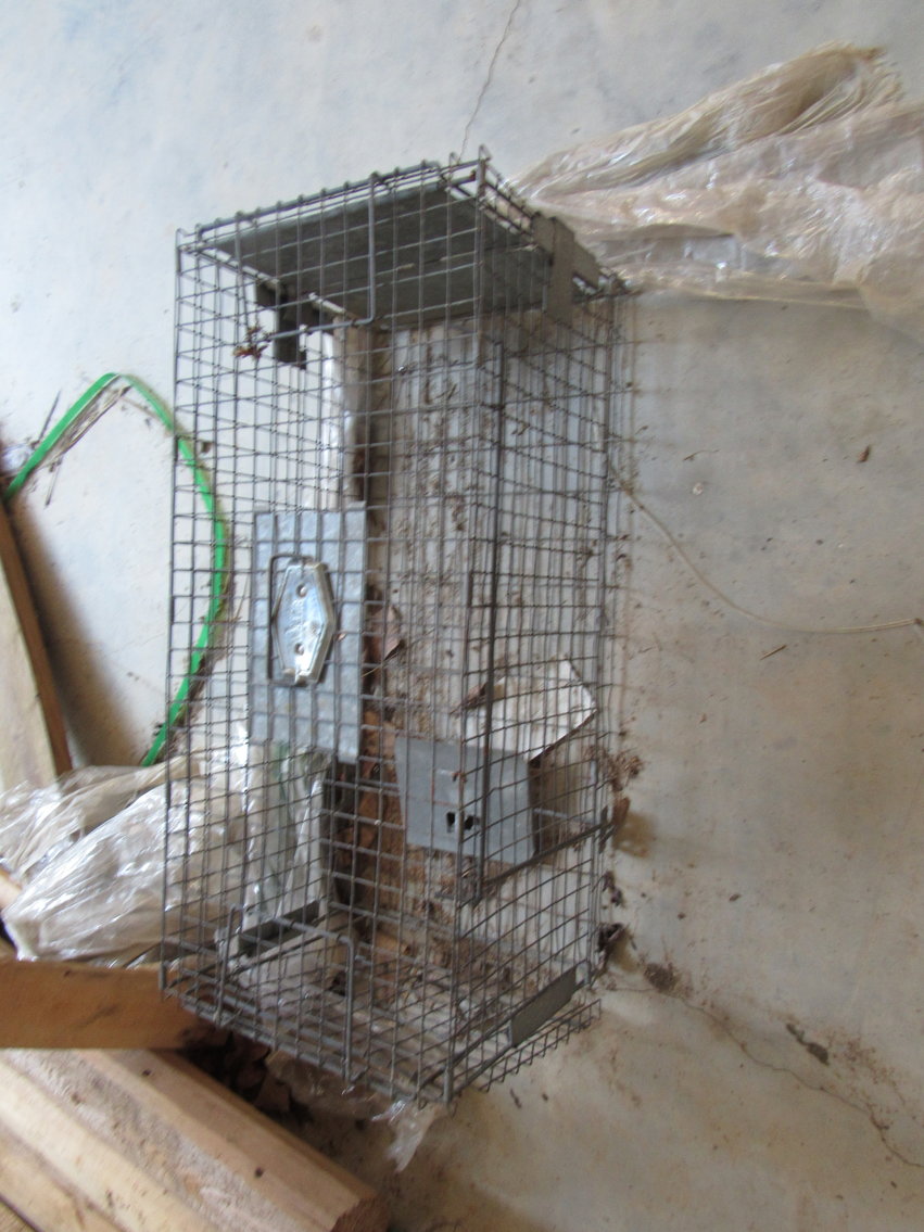 Image for Forklift, Wood Forming & Cutting Machinery, Tools, & More