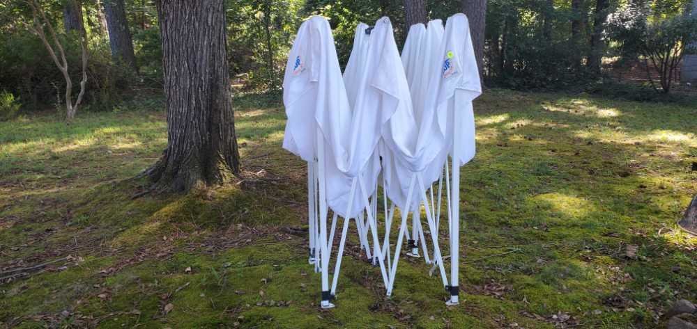 Image for Petersburg Estate Auction