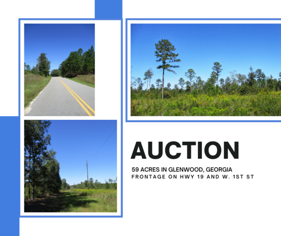 Image for LIVE AUCTION - November 12, 2020 @ 7:00 P.M.