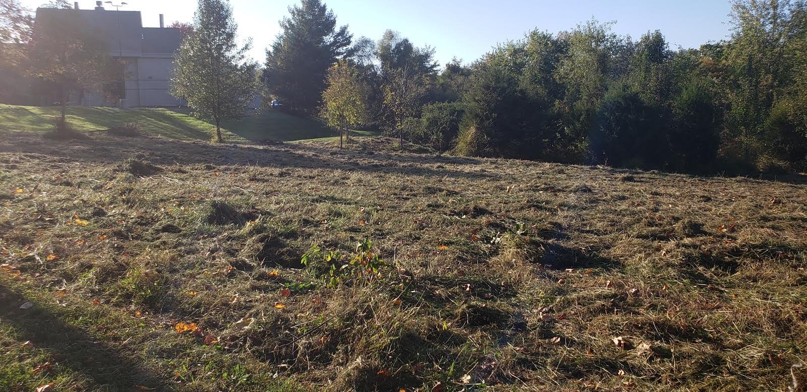 Image for .4974 +/- Acres in the Planned Unit Development District of Warrenton, VA (Fauquier County)--ONLINE ONLY BIDDING!!