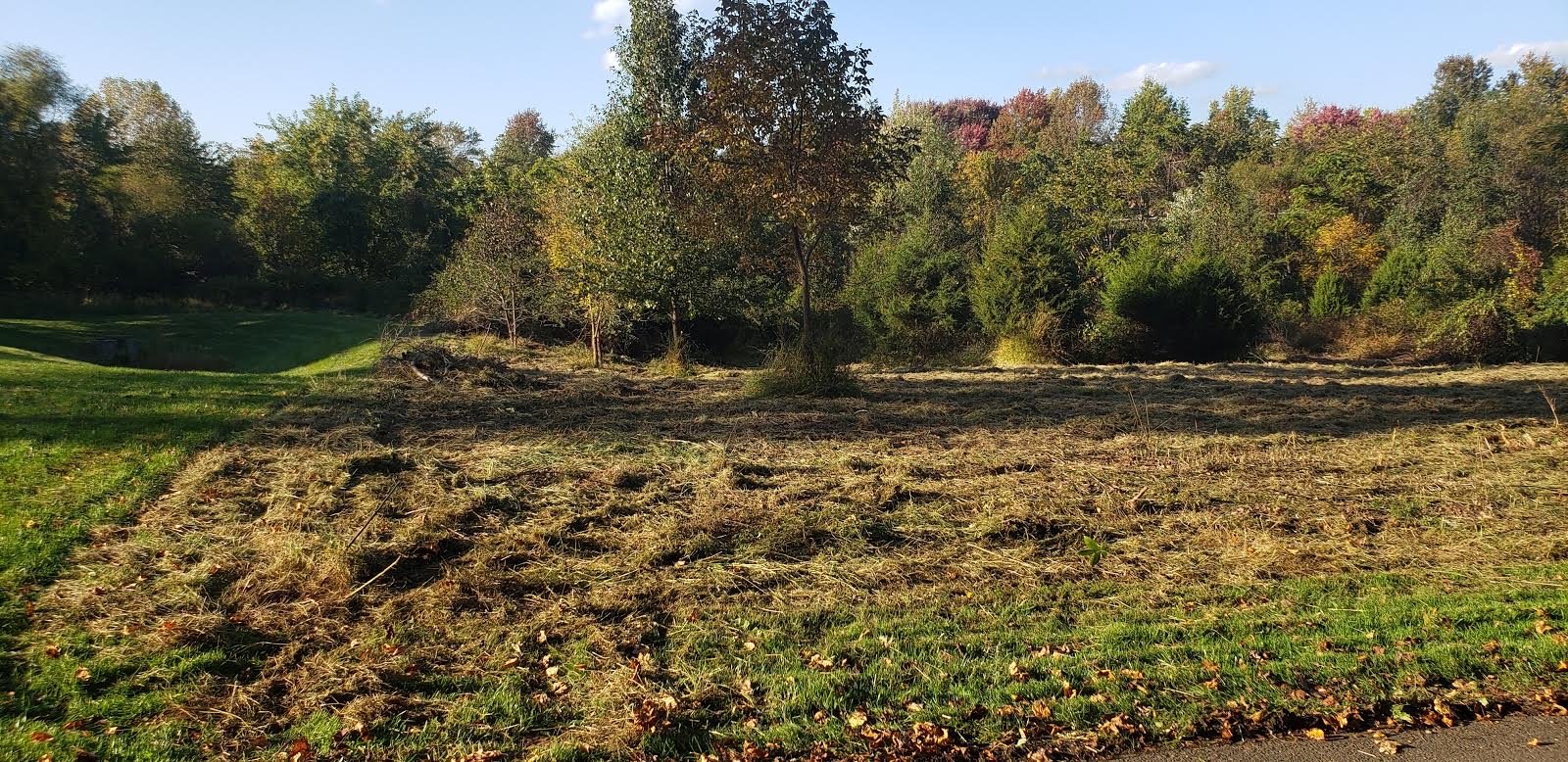 Image for .4974 +/- Acres in the Planned Unit Development District of Warrenton, VA (Fauquier County)--ONLINE ONLY BIDDING!!