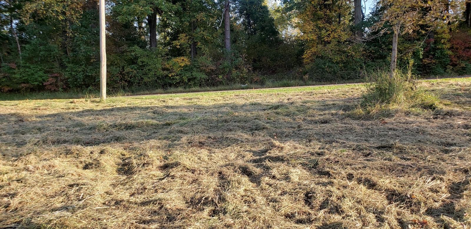 Image for .4974 +/- Acres in the Planned Unit Development District of Warrenton, VA (Fauquier County)--ONLINE ONLY BIDDING!!