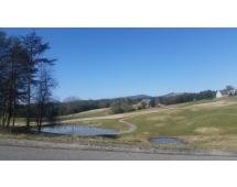 Image for Multi Property-Live Stream Auction