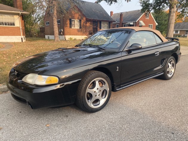 Image for Estate of Mark Krummen