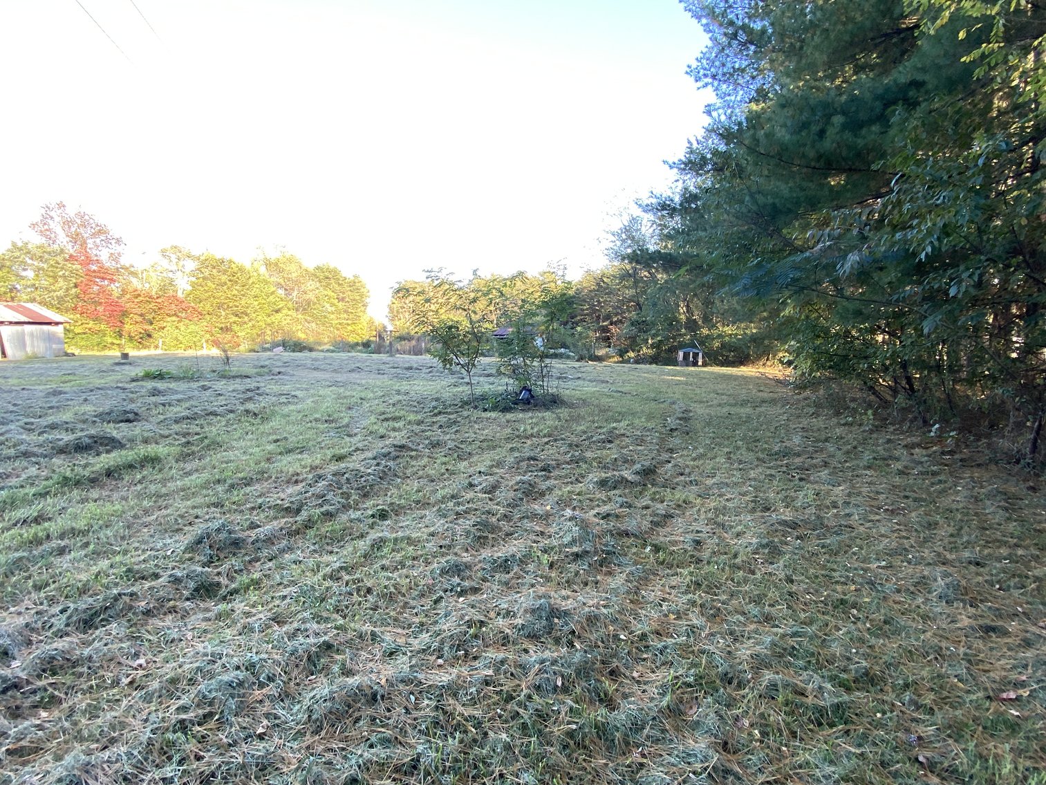 Image for 2.7 +/- Acre Building Lot w/2 BR Dwelling (In Need of Repair) in Orange County, VA --ONLINE ONLY BIDDING!!