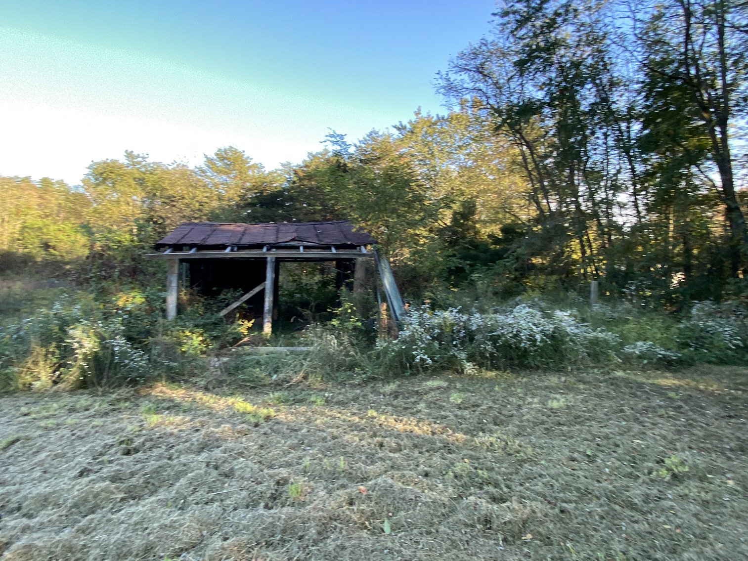 Image for 2.7 +/- Acre Building Lot w/2 BR Dwelling (In Need of Repair) in Orange County, VA --ONLINE ONLY BIDDING!!