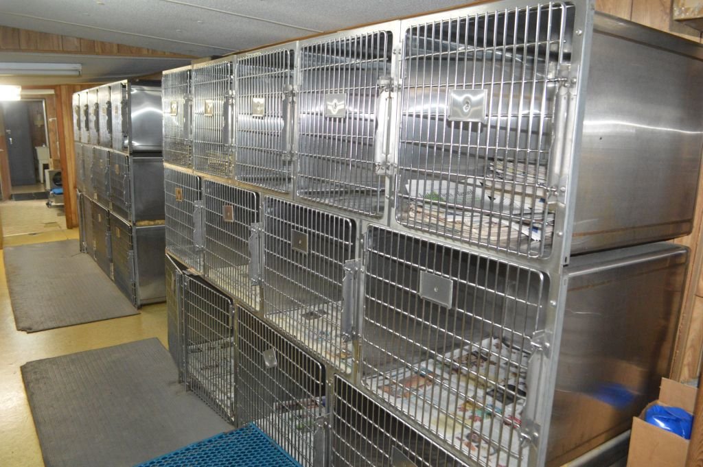 Liquidation of Eastern Randolph Veterinary Clinic